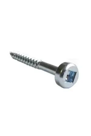Bespaar nu - CMT 990.101X500 Schroeven 31,7mm, geschikt voor artikel PPJ-002 (fijn, 500 stuks)