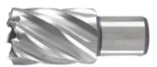 Veel gekozen | Hikoki Accessoires Kernboor 19X30 Mm - 754408